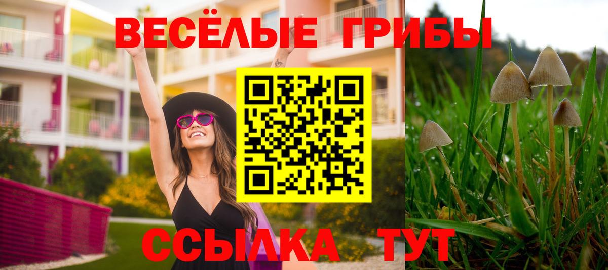 Ипатово  Псилоцибиновые грибы Psilocybine cubensis  Вход с VPN 